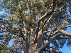 -终南山南五台景区