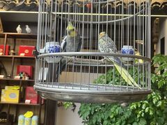 -蘭奢雅集·江浙菜(青山江滩店)