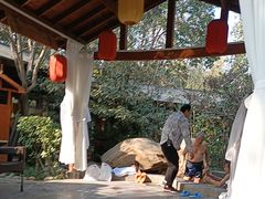 -西安国际创新人才交流中心•药浴温泉
