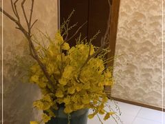 -饭怕鱼(阳光100店)