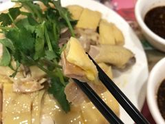 -振鼎鸡(福州路店)