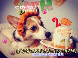 -酷嗒动物文化乐园(cutezoo西溪乐天城店)