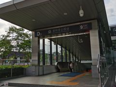 -深圳湾公园(南山区)