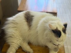 -KUYE·裤爺炼金室·银饰DIY(大运河店)