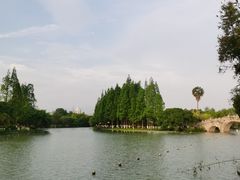 -江心屿景区