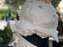 -蔻蔻椰·鲜萃椰子水(欢乐港湾店)