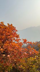 -北京妇产医院(东院)