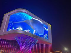 -第35届青岛国际啤酒节