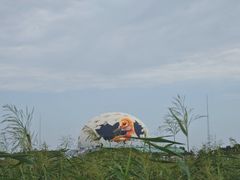 -黑龙江扎龙生态旅游区