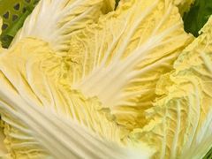 -官塘兄弟·潮汕牛肉店(官塘总店)