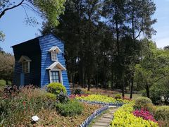 -铁山坪森林公园