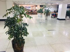 -青岛市图书馆