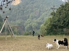-趣多多宠物公园·宠物训犬学校·宠物寄养