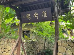 -杭州植物园