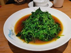 清炒草头-得意楼蒸菜馆