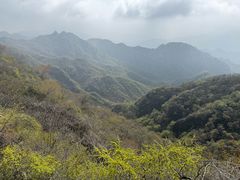 -大岭沟猕猴桃谷风景区