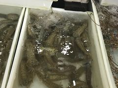 -拉威海鲜市场