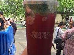 -鸡鸣赐茶(鸡鸣寺路店)