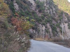-秦岭风景区
