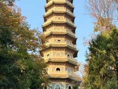 -灵谷景区