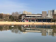 -青枫公园