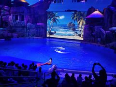 -芜湖新华联大白鲸海洋公园