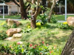 -人民公园(罗湖区)