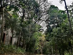 -七仙岭君澜度假酒店