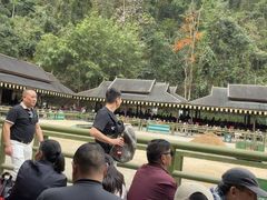 -野象谷景区
