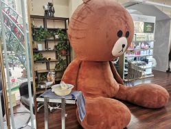 -JM STYLE造型明星.网红