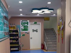 -天使宠物医院·犬猫分诊(彩虹店)