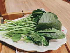 -芦月轩羊蝎子(劲松店)