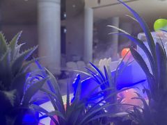 -涨巢·潮玩水疗局