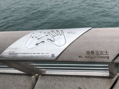 -星光大道