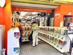-秋叶原电器街