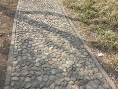 -方庄体育公园