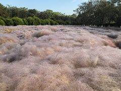 -华山御温泉度假村