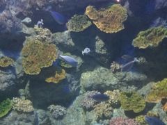 -福州罗源湾海洋世界旅游区