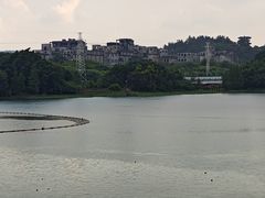 -广东花都湖国家湿地公园