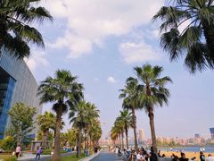 -金沙湖公园