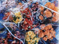 -循礼门鲜花花市(武汉循礼门店)