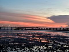 -宝安西湾红树林湿地公园