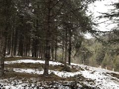 -硗碛藏寨·神木垒景区