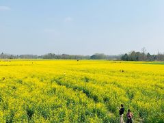 -桤木河湿地公园