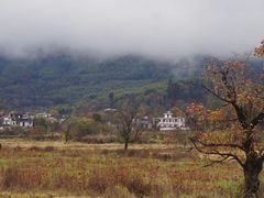 -塔川景区