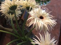 -陶享时光西餐·下午茶·竹林花园(新城店)