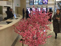 -万象影城(杭州万象城IMAX激光店)
