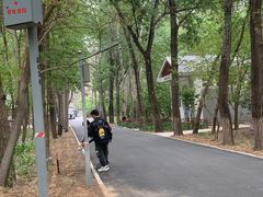 -廊坊市自然公园