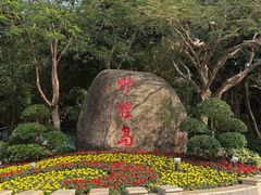 -野狸岛
