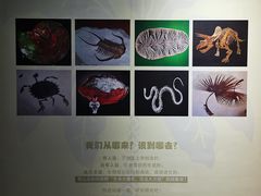 -中华赏石园